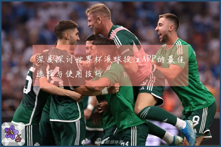 深度探讨世界杯滚球投注APP的最佳选择与使用技巧