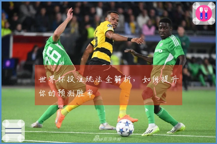 世界杯投注玩法全解析，如何提升你的预测胜率
