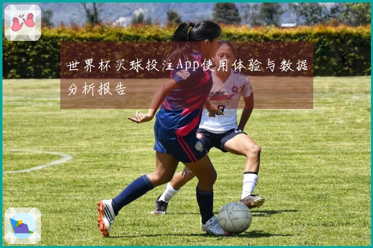 世界杯买球投注App使用体验与数据分析报告