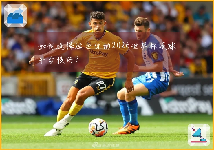 如何选择适合你的2026世界杯滚球平台技巧？